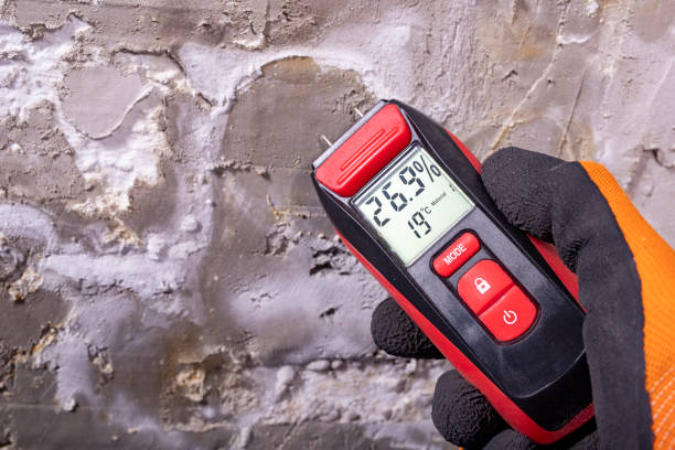 Best Fast Mold Removal  in Marcus Hook, PA