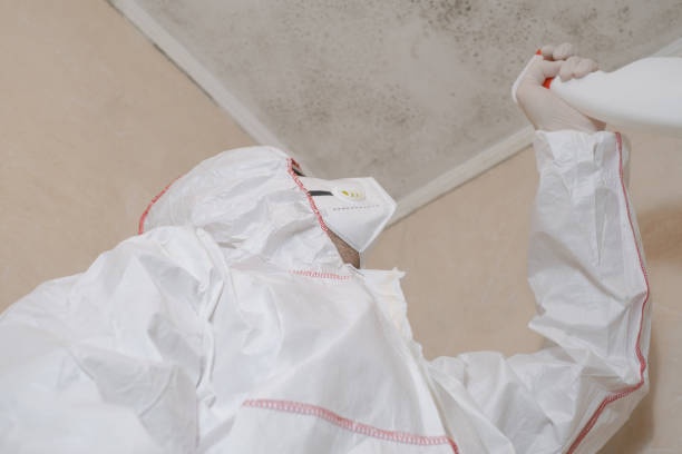 Best Office Mold Removal Services  in Marcus Hook, PA